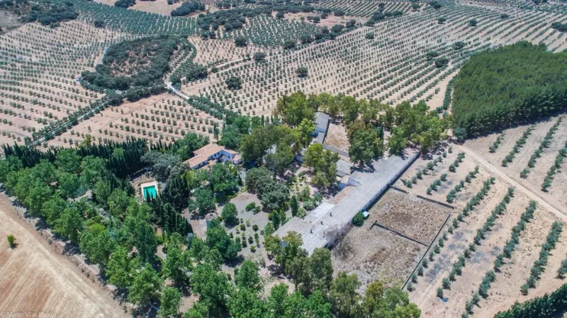 Finca - Cortijo in Archidona