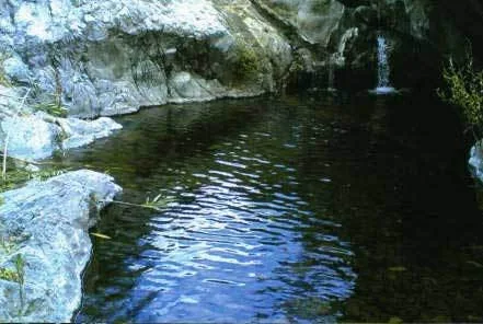 Finca · Cortijo · Estepona
