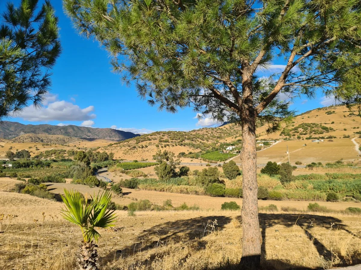 Finca · Cortijo in Pizarra