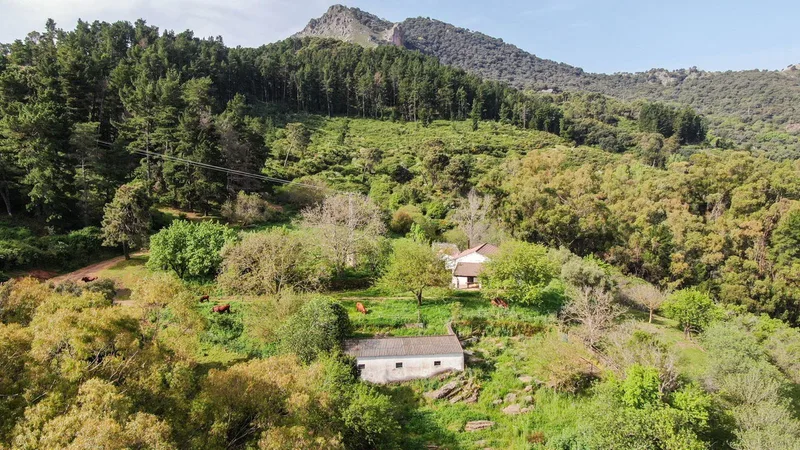 Finca · Cortijo · Gaucín