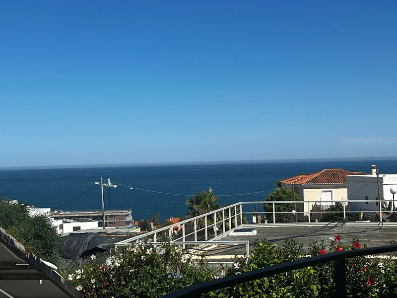 Detached Villa in Estepona