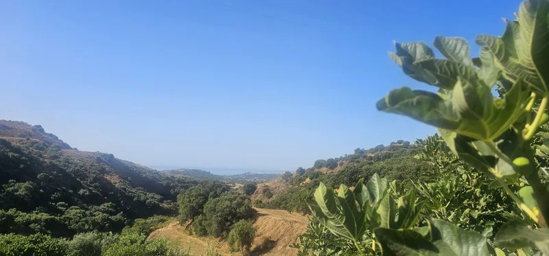 Finca - Cortijo in Estepona