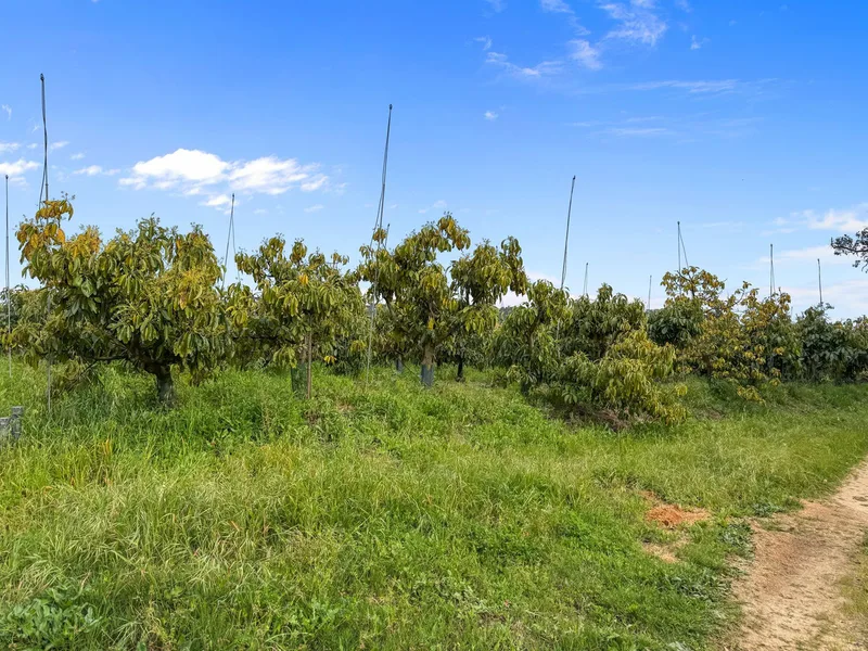 Villa independiente · Sotogrande