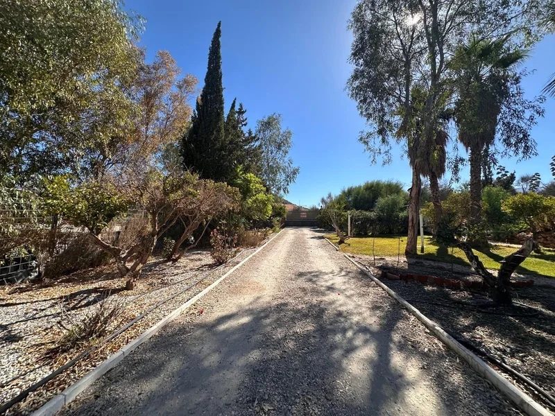 Finca - Cortijo in Cártama