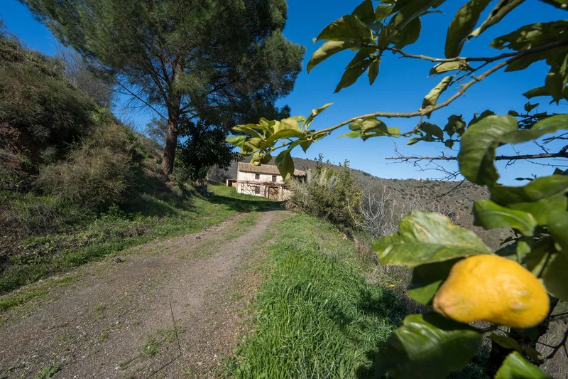 Detached Villa in Colmenar